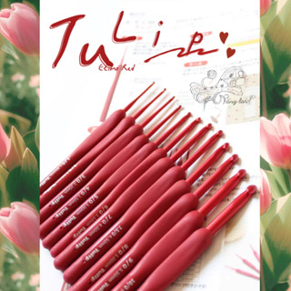  Kim móc Tulip Etimo Red - Hàng Nhật Bản Chính Hãng 