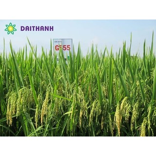 Phân bón đa vi lượng
