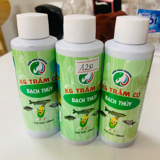 Hương liệu Bạch Thuỷ ngâm ngô câu cá trắm cỏ, mồi câu cá trắm cỏ