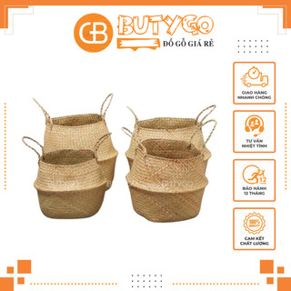 Giỏ cói 💥 CAO CẤP 💥 Giỏ mây tre đan trồng cây , trang trí nhà cửa đủ kích thước