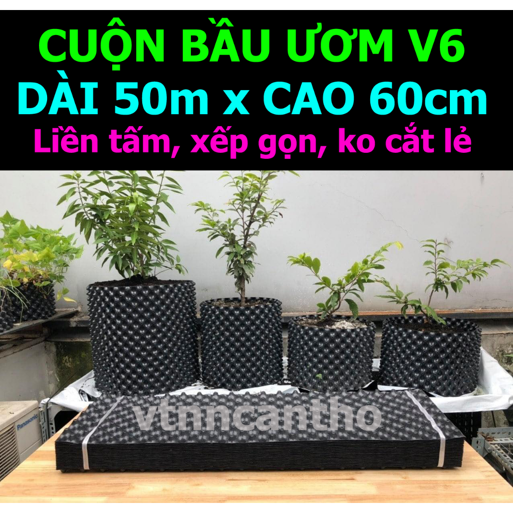 Cuộn 50m Bầu ươm cây V6 cao 60cm (tặng kèm 100 vít)