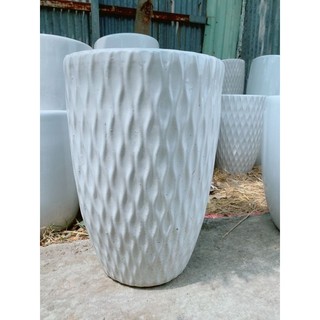 Chậu Trồng Cây
