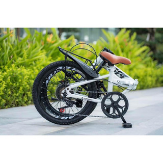Xe đạp gấp gọn aili