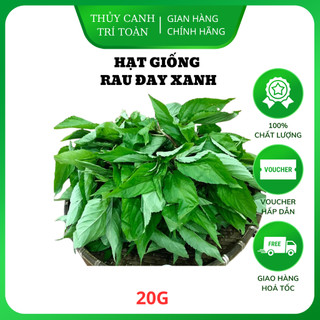Hạt giống Rau Đay Xanh nhanh thu hoạch, sinh trưởng khỏe, trồng quanh năm - Hạt giống Rạng Đông