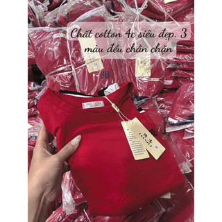 Áo phông thêu BB chất cotton mềm mát