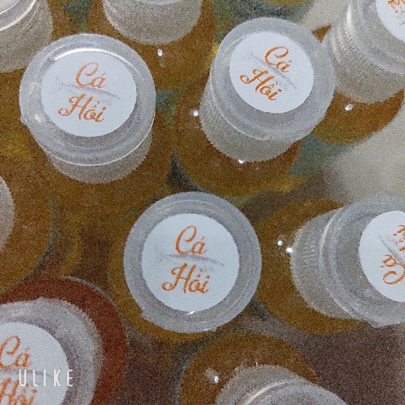 [Hương Câu Cá]1 Chai Hương Cá Hồi Thái Lan 30ml