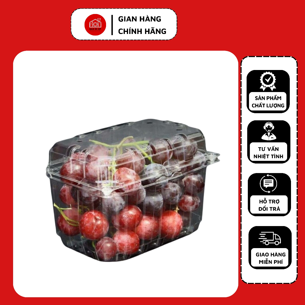 10 Hộp nhựa đựng trái cây P500B, P1000B làm từ nhựa pet nguyên sinh có nút bấm tiện lợi