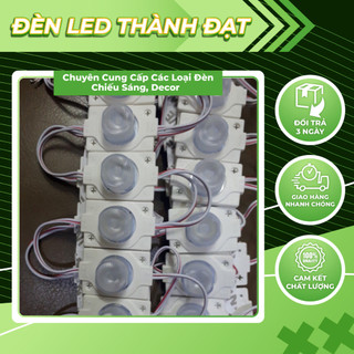 Mắt lồi siêu sáng 💥 CAO CẤP 💥 Mắt lồi 1 dây 20 bóng, 12V dùng trang trí