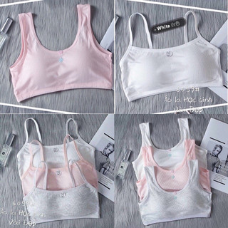 Áo Bra Học Sinh Cotton Tăm 6059
