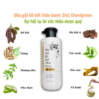 Dầu gội Bồ Kết Thảo Dược 2in1 Chavigreen ngăn ngừa rụng tóc kích mọc tóc 500ml
