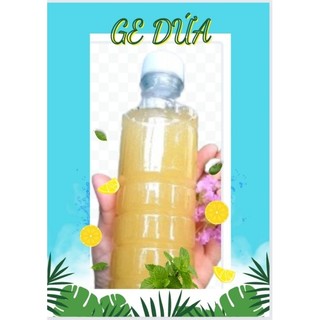 DỨA NGÂM Ủ, ENZYM DỨA, GE DỨA CHẤT CẢI TẠO ĐẤT NGỪA BỆNH CHO CÂY TRỒNG