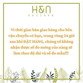 Nailbox thiết kế hoạt hình ( nhắn tin cho shop đo sz)