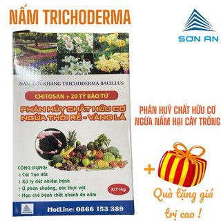 Trichoderma 20 tỷ bào tử hộp 1kg, nấm đối kháng trichoderma, chế phẩm vi sinh ủ rác hữu cơ thành phân bón hữu cơ