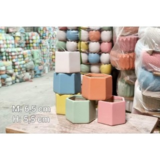 🔥[Combo siêu rẻ-]🔥 - 5 chậu lục giác  Mini