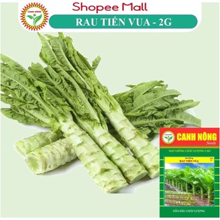 Hạt giống Rau Tiến Vua (2g~1200 hạt) thu hoạch nhiều lần, dễ trồng - Hạt giống CANH NÔNG