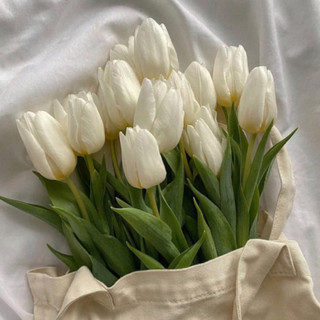 Hoa tulip tươi nhập khẩu Hà Lan (bó 10 bông) |Ship hỏa tốc| Tiệm hoa Gifarm