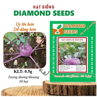 Hạt giống su hào tím 50 hạt giàu dinh dưỡng dễ trồng như su hào xanh