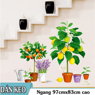 Decal trang trí tường - Chậu chanh và chậu quýt cùng những chậu hoa nhỏ-BA9304