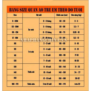 Áo thun chữ alex