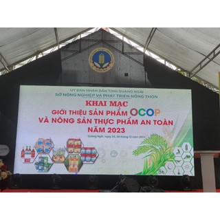 MẬT MÍA HÀ THỦ Ô