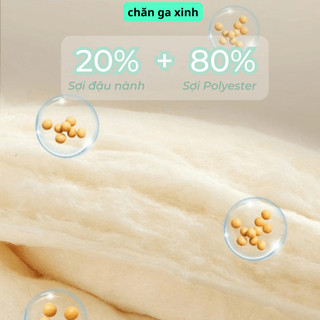 Chăn hè COTTON POLY trần bông 3 lớp (Được chọn mẫu)