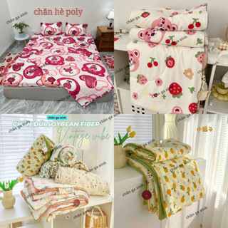 Chăn hè COTTON POLY trần bông 3 lớp (Được chọn mẫu)