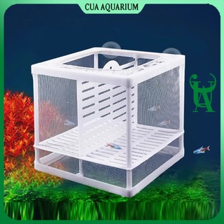Lồng đẻ cá 7 màu | Lồng dưỡng cá | Lồng cá đẻ bằng vải