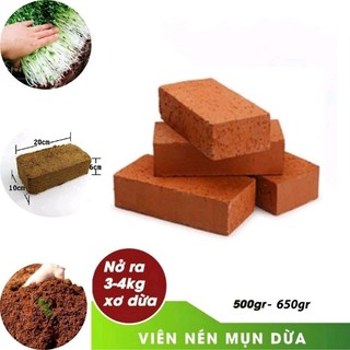  Combo 5 viên đất trồng cây viên nén xơ dừa 500-650g đã qua xử lý  rẻ nhất Shopee  nở gấp 5 6 lần 