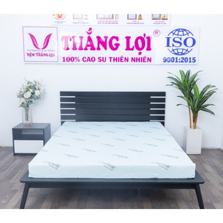 Nệm Cao Su Hoạt Tính Thắng Lợi- Khử Khuẩn-Chống Ẩm Mốc-Đàn Hồi Tốt