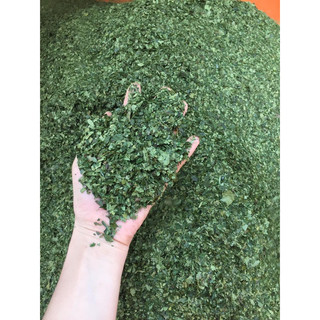 Bột trà xanh nguyên chất 100%