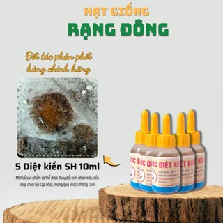 Diệt Kiến Sinh Học 10ml (Combo 5) - Diệt kiến, gián tận gốc an toàn cho thú cưng, hiểu quả tức thì - Hạt giống Rạng Đông