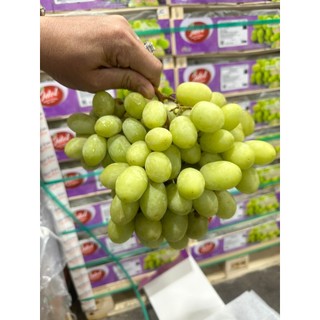 [HOẢ TỐC] Nho xanh Peru túi 1kg