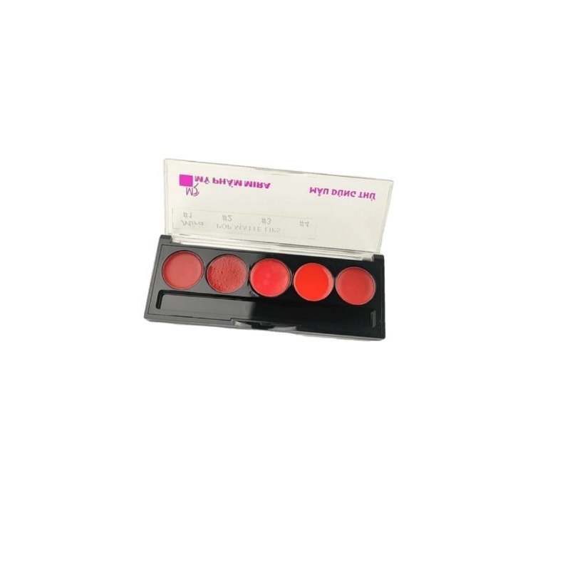 Khay son chuẩn màu lâu phai Mira Aroma Rich Classical Velvet Lipstick C434

