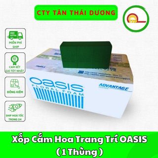 (SỈ 1 THÙNG) Xốp Cắm Hoa OASIS - Dùng Để Cắm Hoa - Trang Trí Hoa Tươi, Hoa Khô