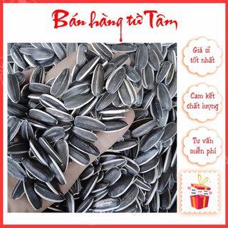 Hướng Dương Rang Sẵn Vinabisca Cao Cấp Nguyên Vị Loại 1 Thơm Ngon Bùi Đồ Ăn Vặt Tết 2025