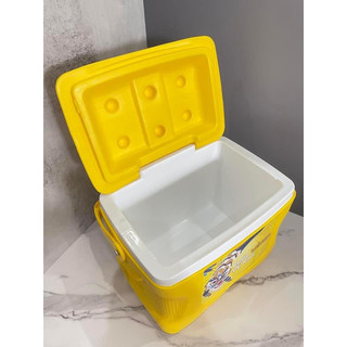 Thùng đá mini, thùng đá giữ nhiệt 8 Lít (Giau màu ngẫu nhiên)
