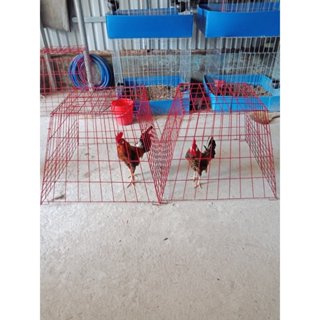 BỘI VUÔNG ,BỘI THÁP GÀ TRE CAO 60 RỘNG 80 MÀU ĐỎ