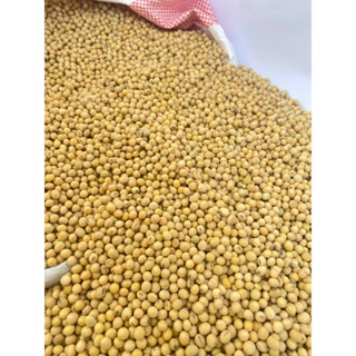 đậu nành, đỗ nành , đậu nành sạch giá rẻ 1kg