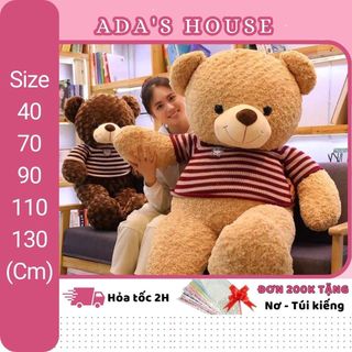 Gấu bông teddy, teddy khổng lồ, teddy mặc áo ada's house