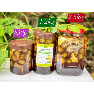 Sấu ngâm đường  (đường phèn, gừng mán)