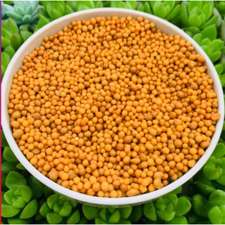 Phân vàng hà lan osmocote 14-14-14 bịch 1kg