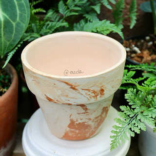 Chậu đất nung marble Vót gờ - Chậu loang màu trồng hình vôi, sen đá, xương rồng | Erecta story
