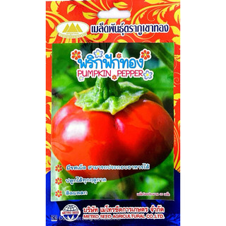 Hạt giống ớt bí ngô nhập khẩu thái lan - nguyên gói 50 hạt - tỷ lệ nảy mầm 85%