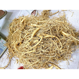 Rễ Sâm Hàn Quốc 0,5Kg và 1Kg