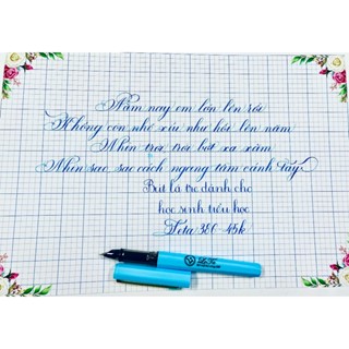  Bút Leta 386 ngòi kim tinh lá tre tự tạo thanh đậm  thân trắng hoặc thân màu  