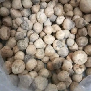 50g nấm rơm sấy thăng hoa búp tròn