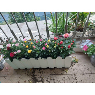 CHẬU NHỰA HÀNG RÀO TRỒNG HOA CÂY CẢNH CỰC XINH