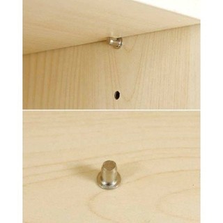 Chốt đợt sắt, Chốt đợt kệ sắt, Chốt đỡ kệ, Chốt tầng (bịch 100 cái)
