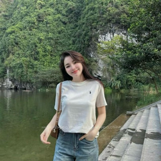  Áo thun nữ cổ tròn form vừa dáng babytee thêu hình ngựa Basic chất thun co giãn 5 màu 