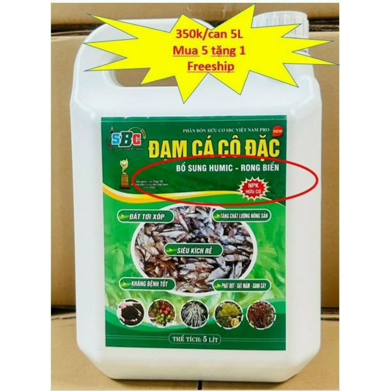 Đạm cá hữu cơ cô đặc SBC can 5 lít